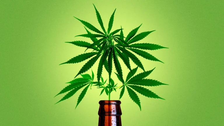 Study: THC impact on drinking alcohol